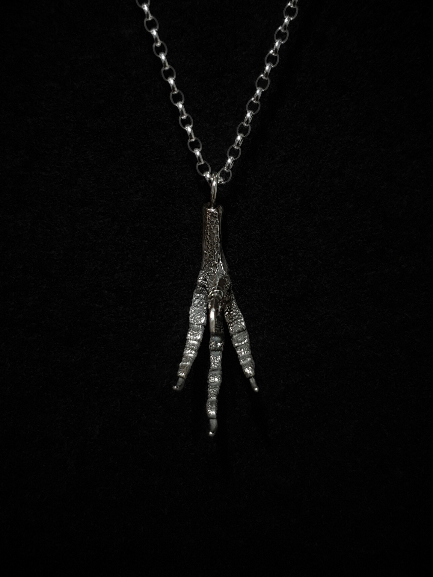 Pigeon Foot Pendant