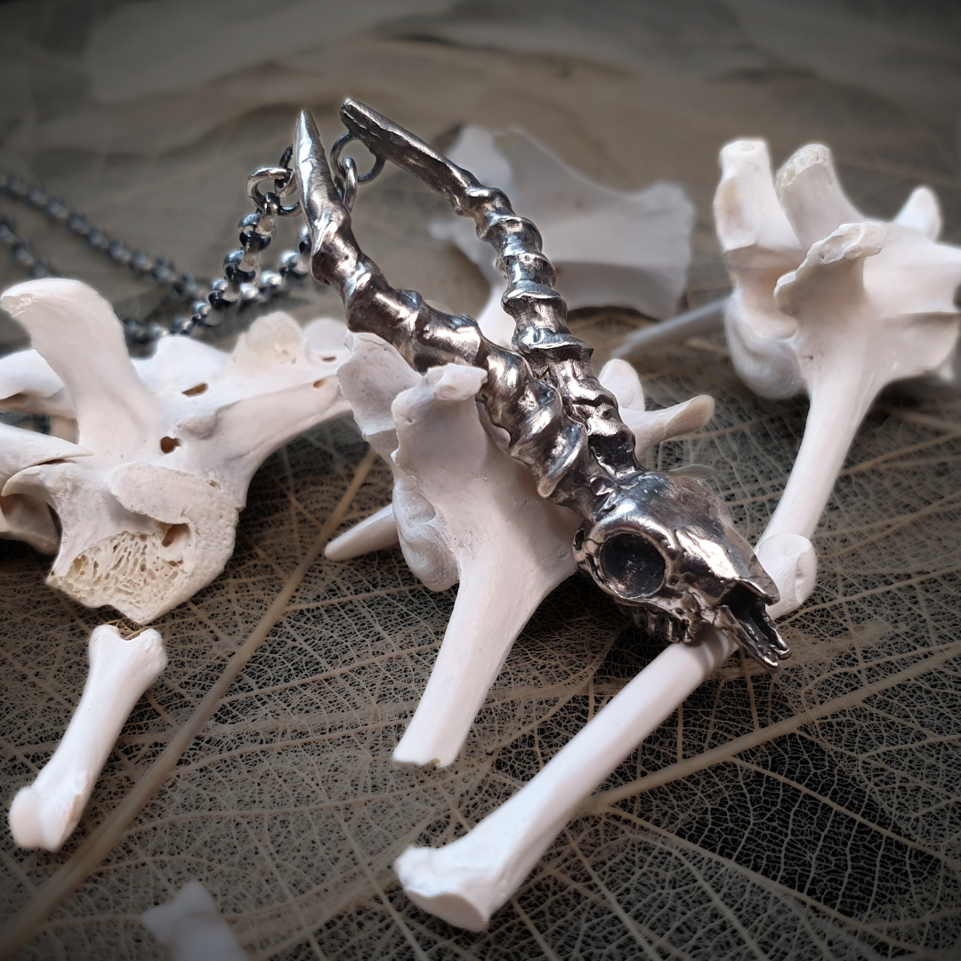 Wolf 2025 skull necklace