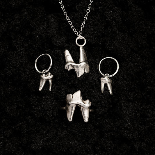 Fox Tooth Set