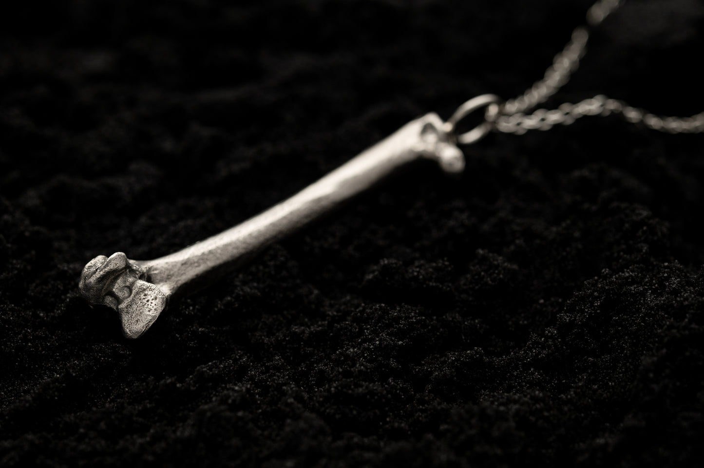 Silver Bone Necklace Laying on Black Sand