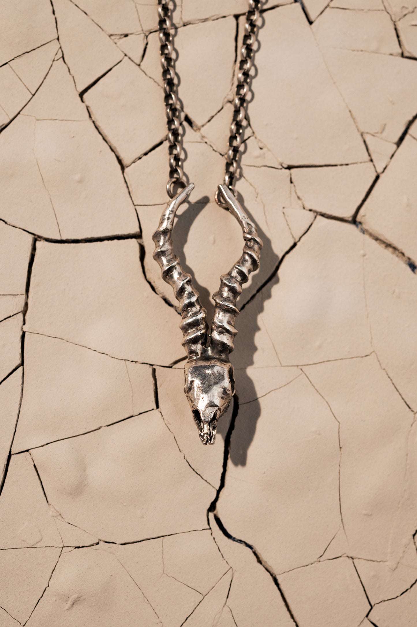 Springbok Skull Necklace