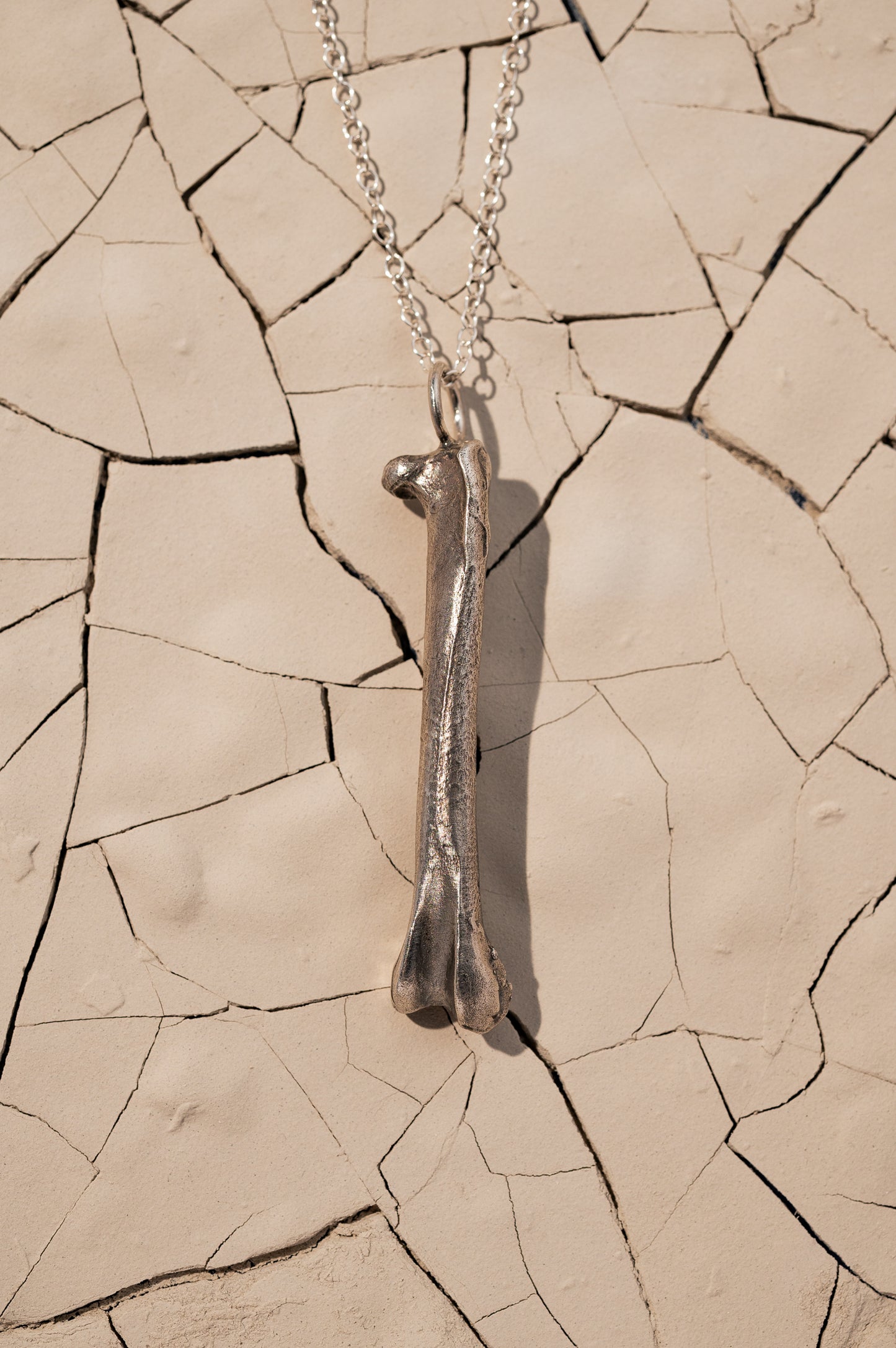 Silver Bone Necklace Laying on Cracked Desert Earth