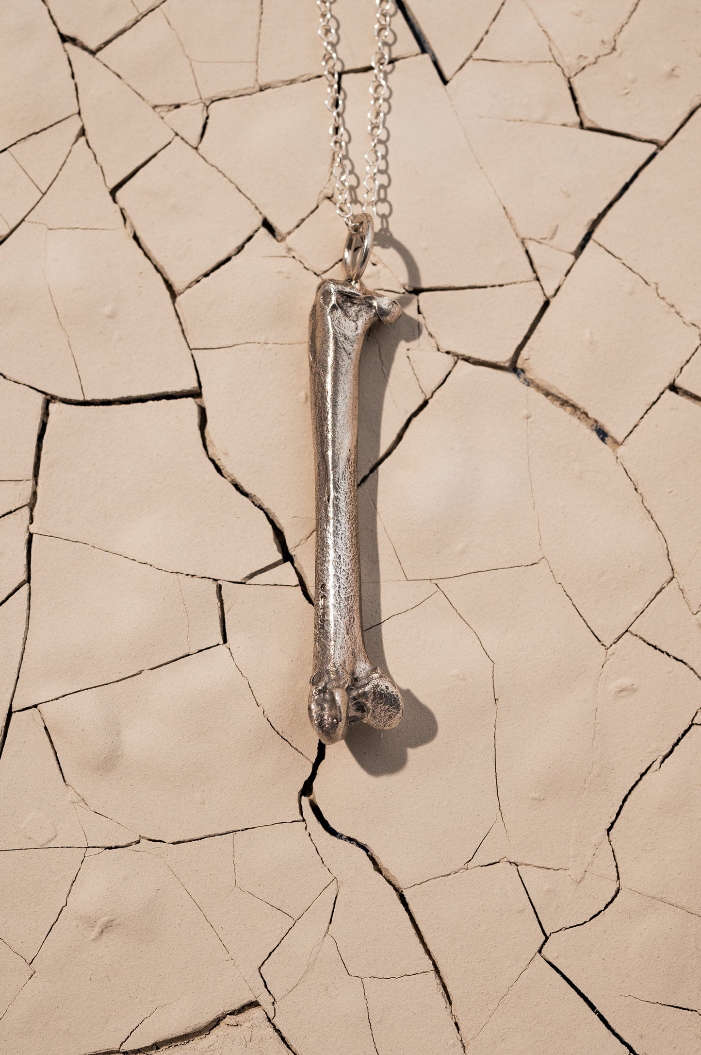 Silver Bone Necklace Laying on Cracked Desert Earth