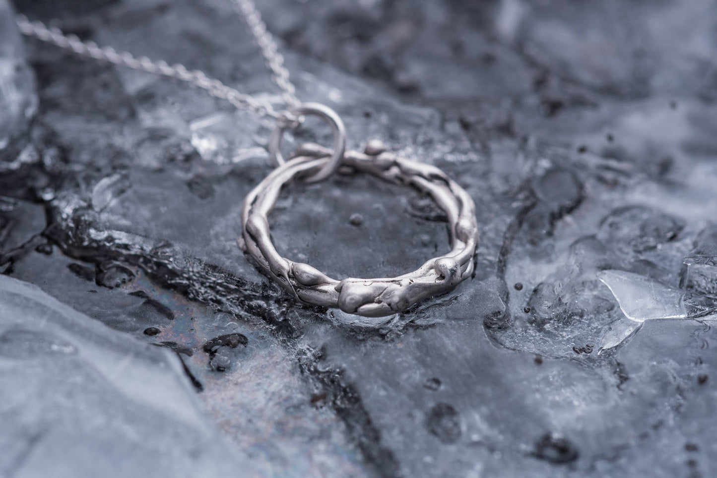 Foss Circlet Necklace