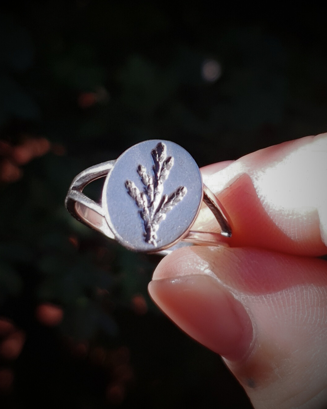 A silver ring is held between a finger and thumb against a dark green background.
The ring features an oval top with an oxidised cypress sprig pressing and a split band.