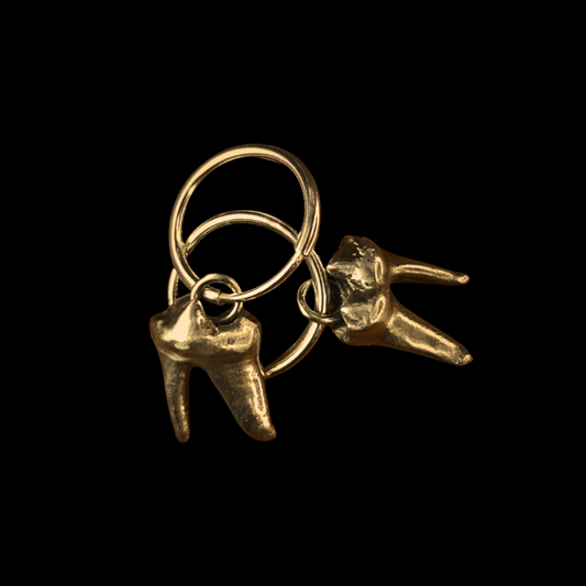 Fox Tooth Earrings - Gold