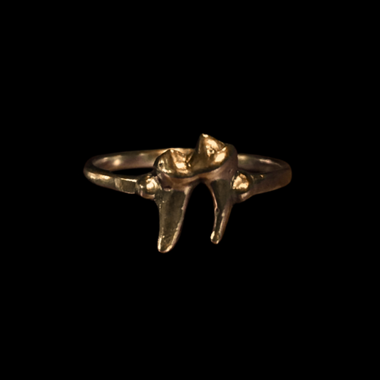 Small Fox Tooth Ring - Gold