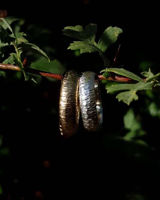 Two 6mm wide rings with hammered striations glisten in warm sunlight. They hang on a thin hawthorn branch with green leaves in shot. The background is dark and out of focus.