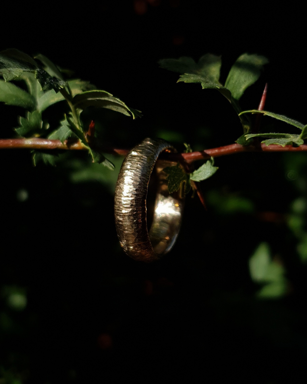 A 6mm wide gold ring with hammered striations shines in warm sunlight. It hangs on a thin hawthorn branch with green leaves in shot. The background is dark and out of focus.
