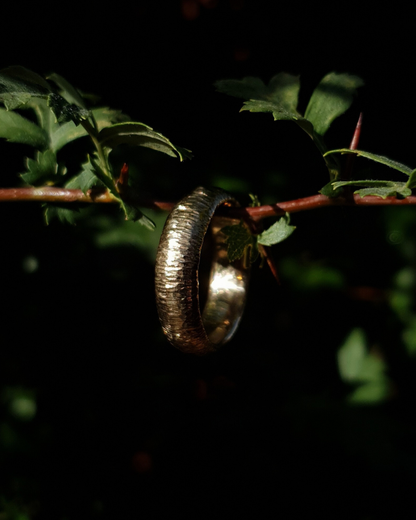 A 6mm wide gold ring with hammered striations shines in warm sunlight. It hangs on a thin hawthorn branch with green leaves in shot. The background is dark and out of focus.