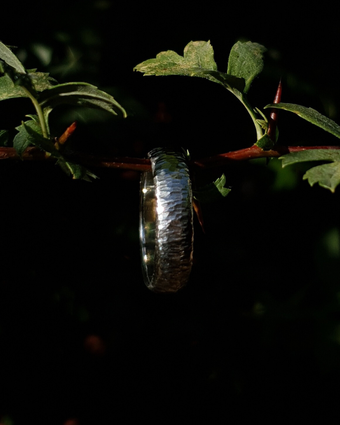 A 6mm wide silver ring with hammered striations shines in warm sunlight. It hangs on a thin hawthorn branch with green leaves in shot. The background is dark and out of focus.