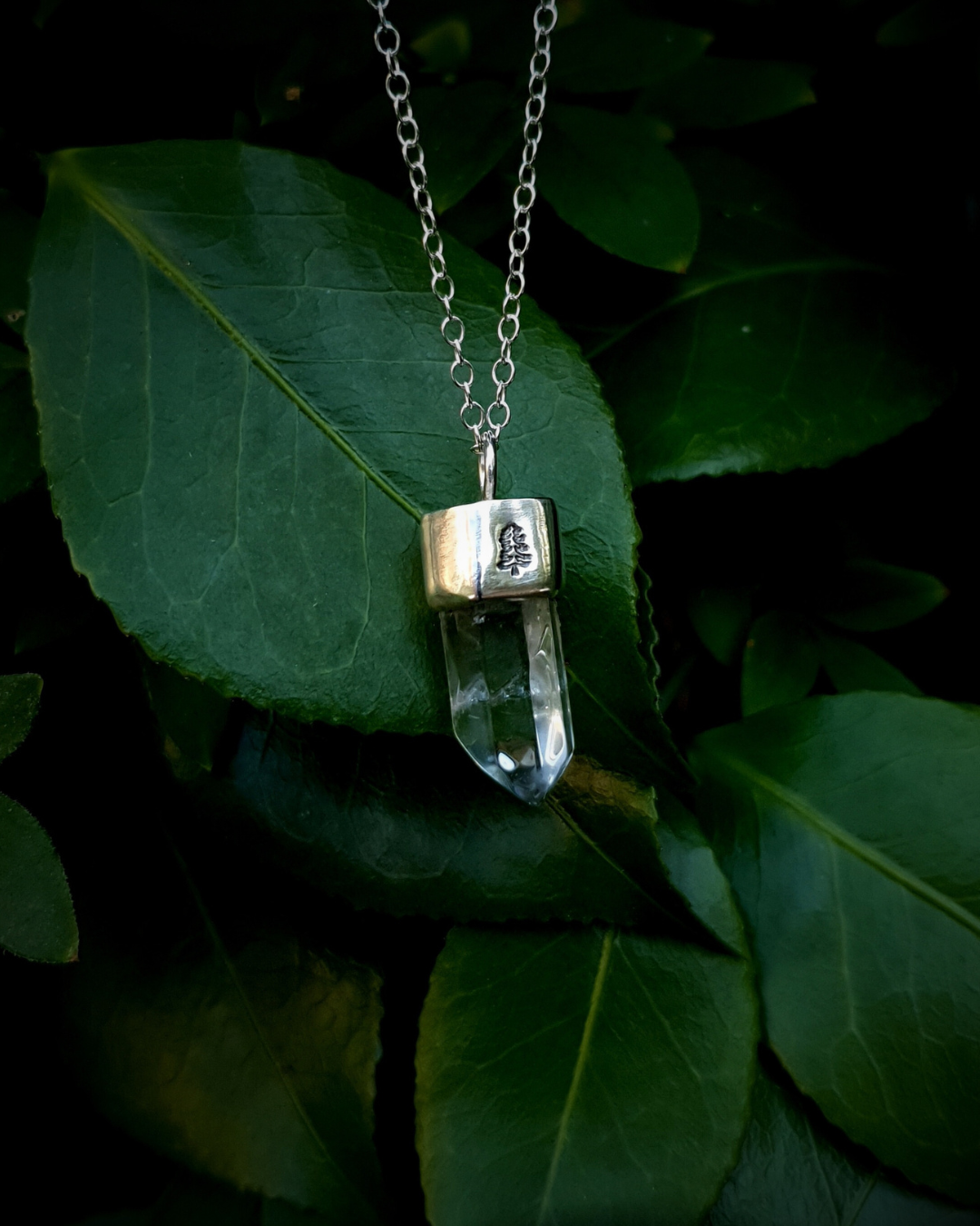 A pendant hangs from a dark green bush, resting on luscious green leaves. The pendant comprises of a clear quartz point in a sterling silver setting. A fir tree has been stamped into the silver setting and oxidised black so that the detail stands out. 