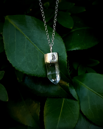 A pendant hangs from a dark green bush, resting on luscious green leaves. The pendant comprises of a clear quartz point in a sterling silver setting. A fir tree has been stamped into the silver setting and oxidised black so that the detail stands out. 