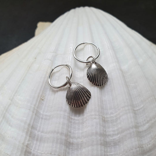 Seashell Hoop Earrings