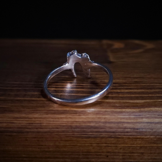 A sterling silver fox tooth ring is photographed sitting on a piece of wood. It is photographed from the back to show the smooth inside of the band.