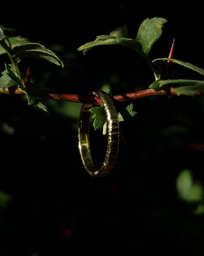 A 3mm wide gold ring with hammered striations shines in warm sunlight. It hangs on a thin hawthorn branch with green leaves in shot. The background is dark and out of focus.