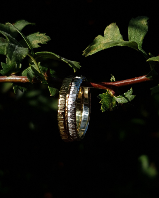 Two 3mm wide wedding rings with hammered striations shine in warm sunlight. One is gold and the other silver. They hang on a thin hawthorn branch with green leaves in shot. The background is dark and out of focus.