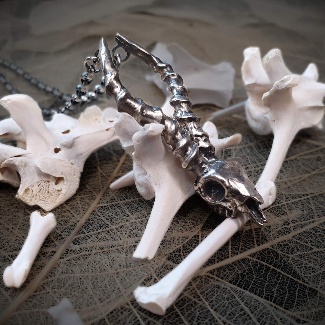 Springbok Skull Necklace