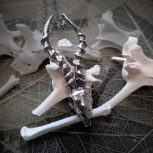 Load image into Gallery viewer, Springbok Skull Necklace
