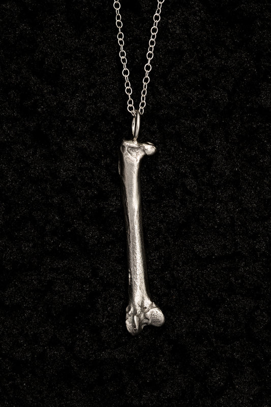 Silver Bone Necklace Laying on Black Sand
