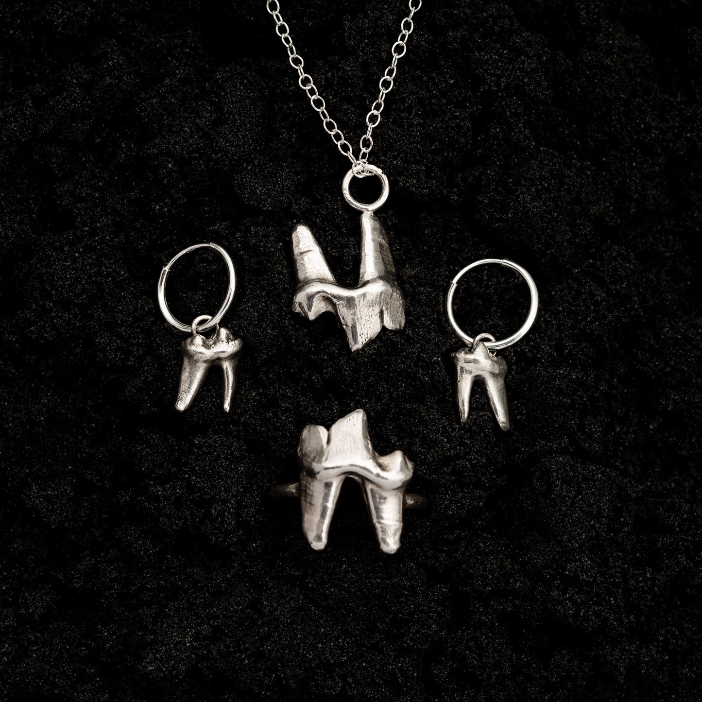Fox Tooth Set