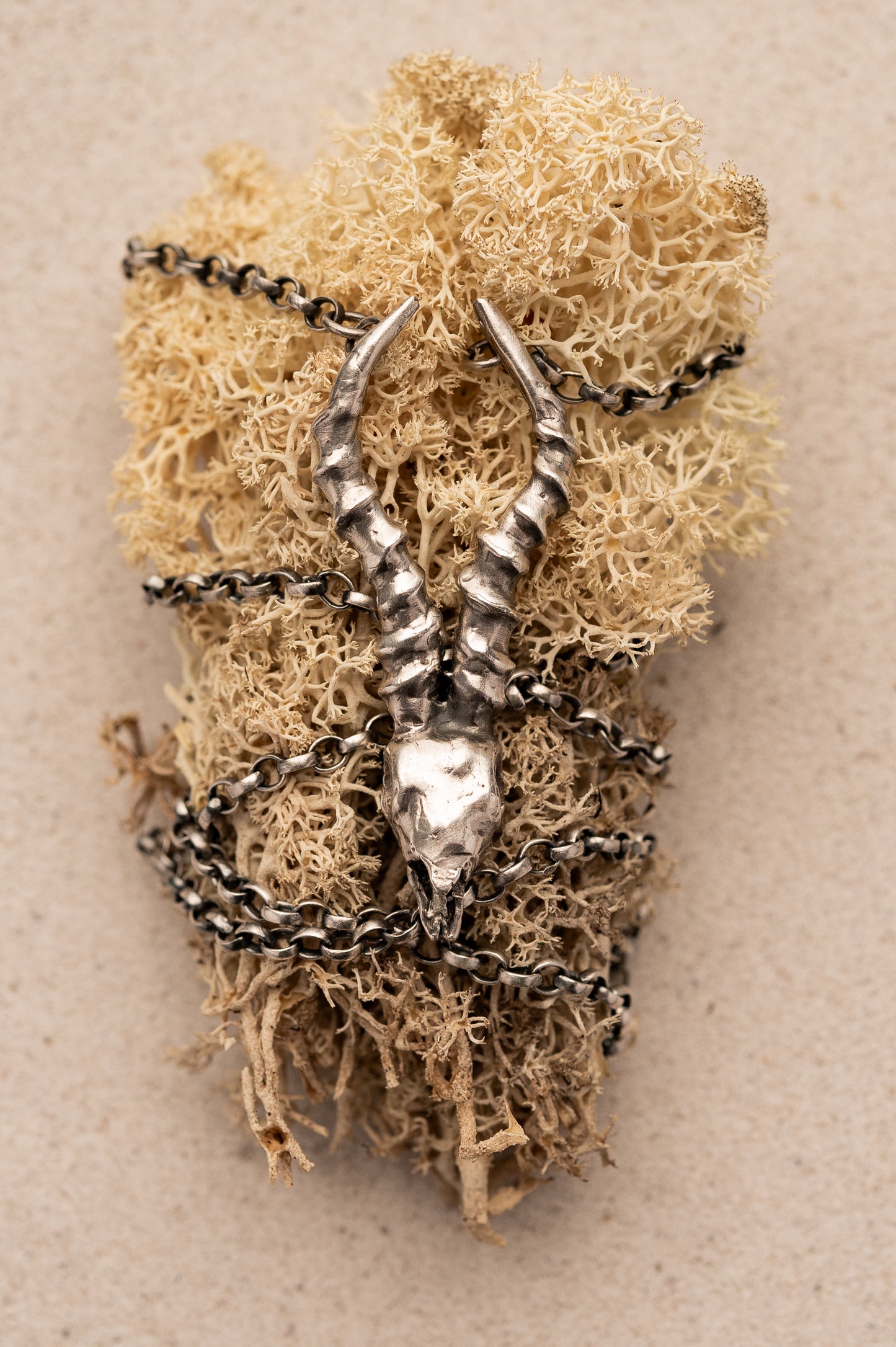 Springbok Skull Necklace