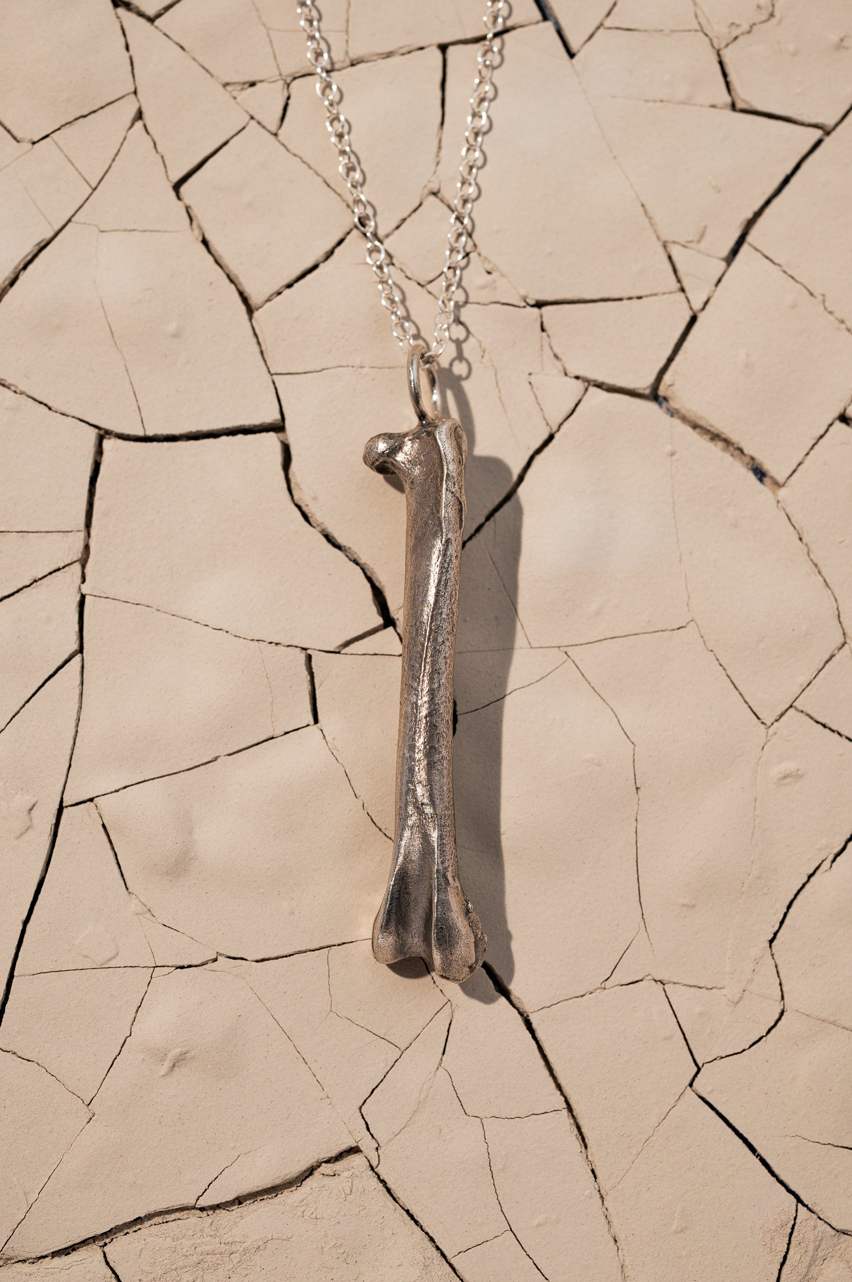 Silver Bone Necklace Laying on Cracked Desert Earth