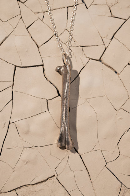 Silver Bone Necklace Laying on Cracked Desert Earth