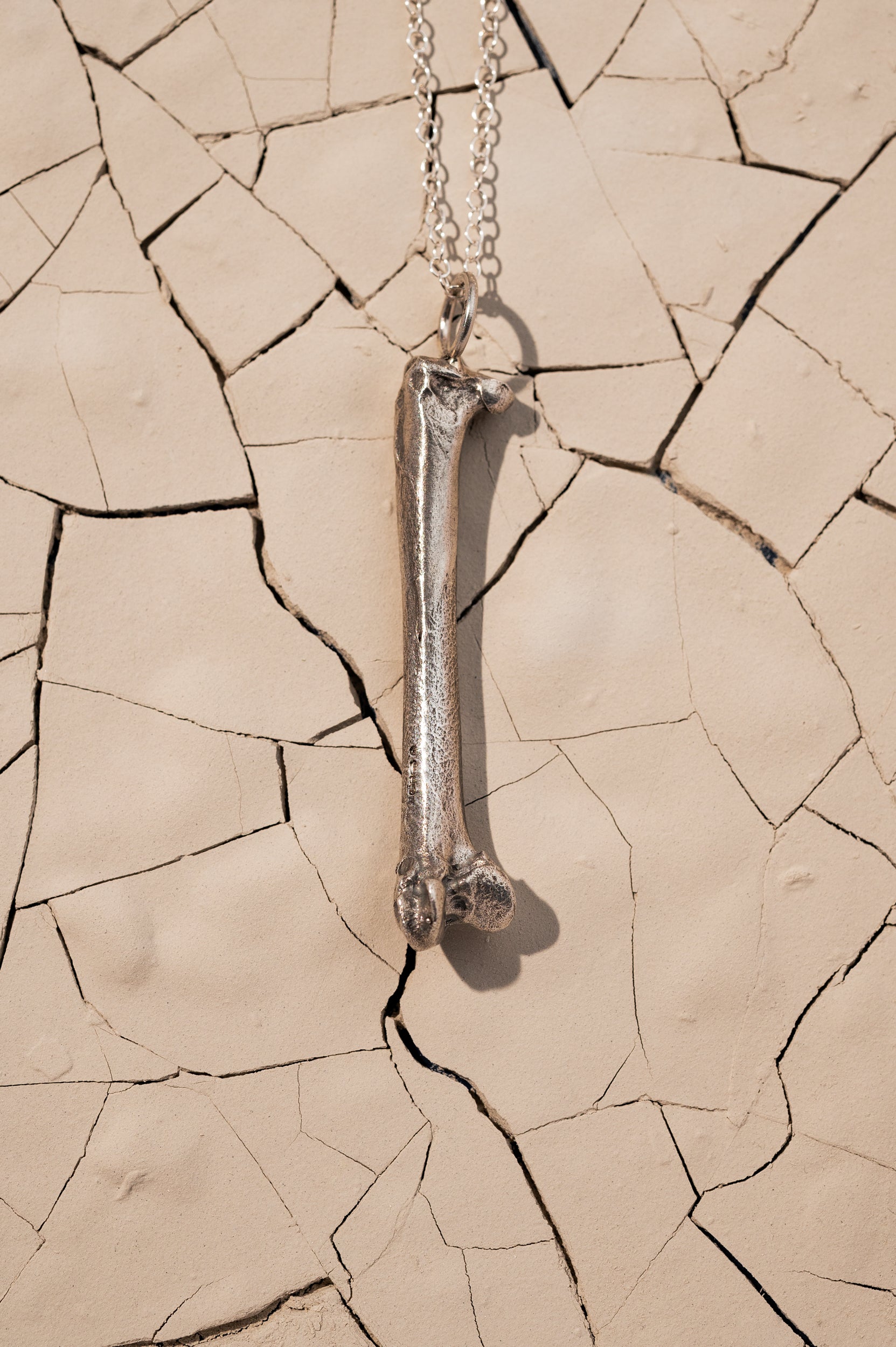 Silver Bone Necklace Laying on Cracked Desert Earth