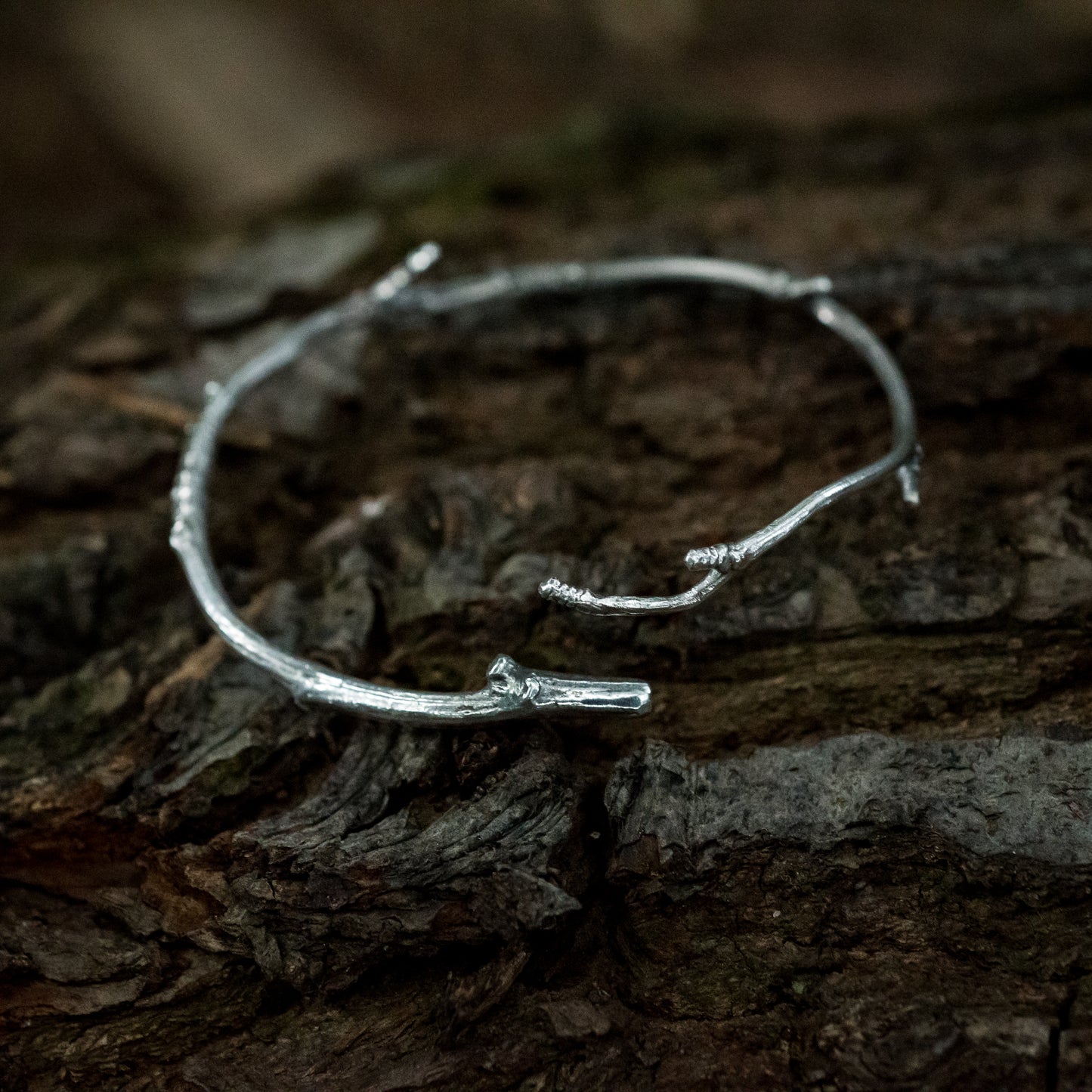 A sterling silver twig bracelet sits on the dark bark of a fallen tree.