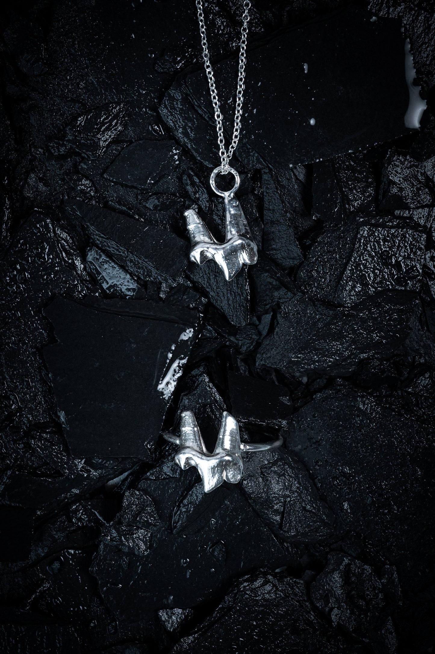 Fox Tooth Ring