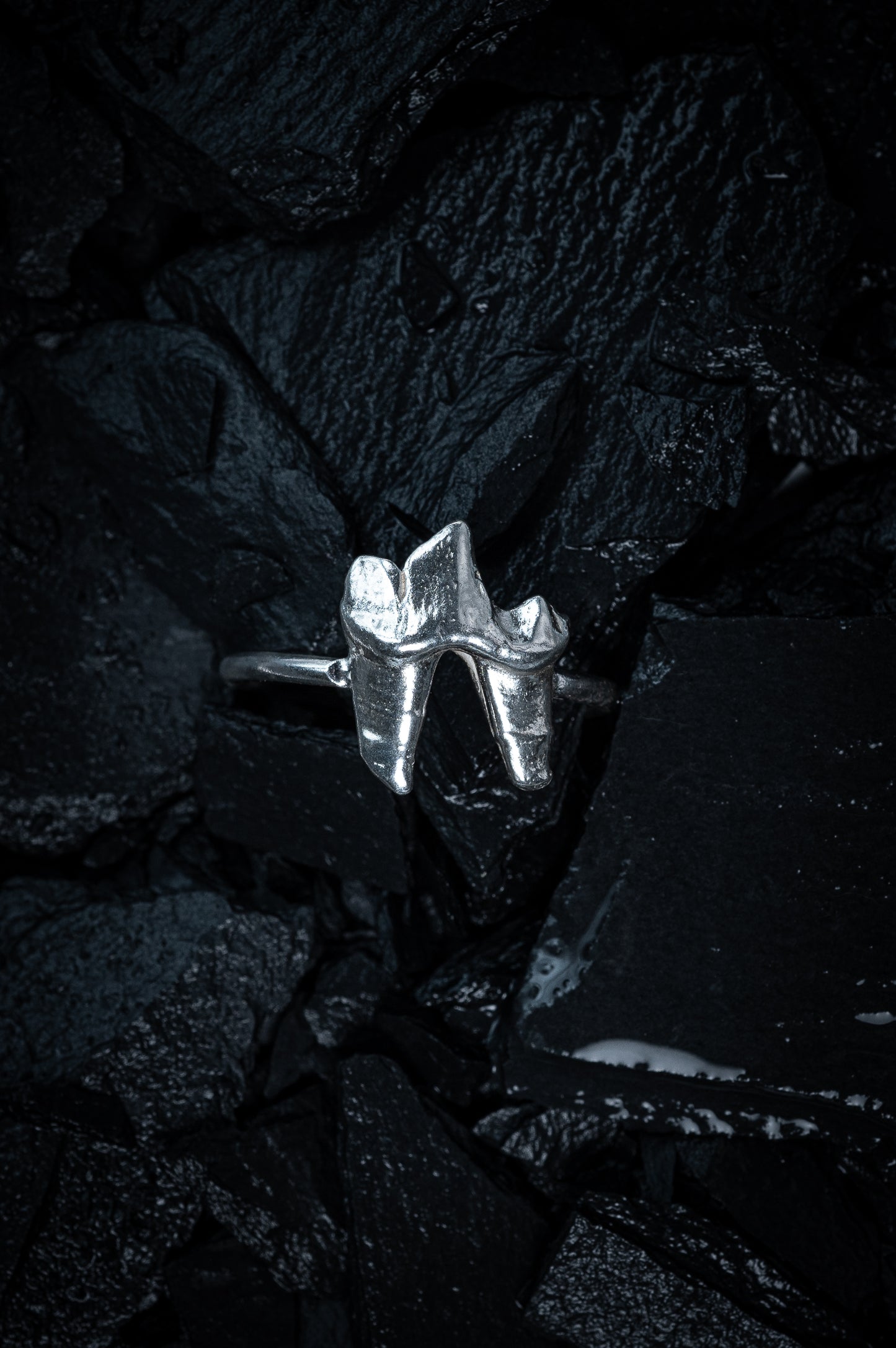 Fox Tooth Ring