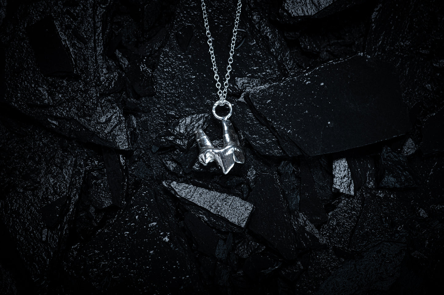 Fox Tooth Pendant