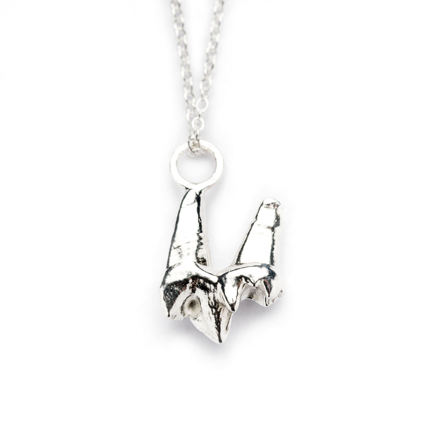 Fox Tooth Pendant