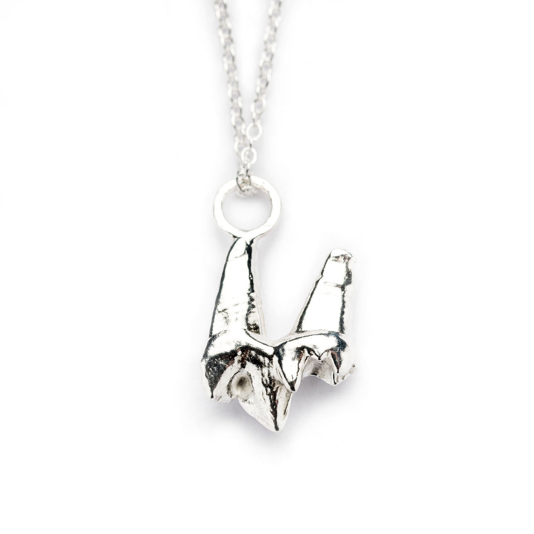 Fox Tooth Necklace