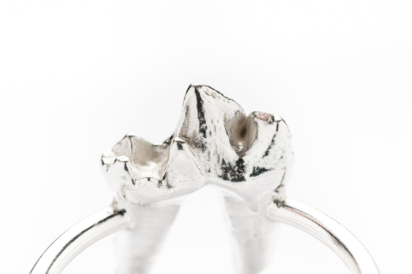 Fox Tooth Ring