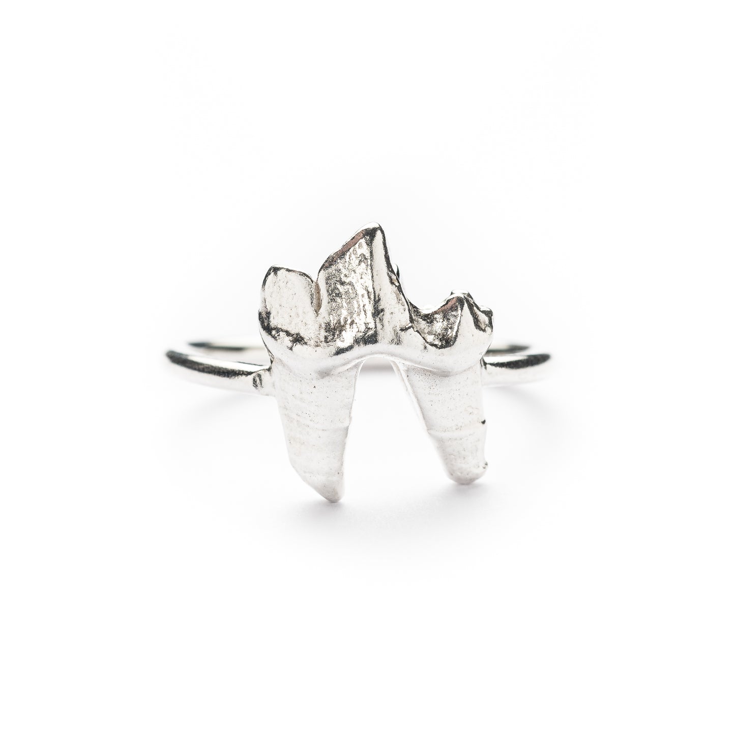 Fox Tooth Ring