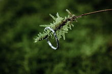 Load image into Gallery viewer, Woodland Silver Ring
